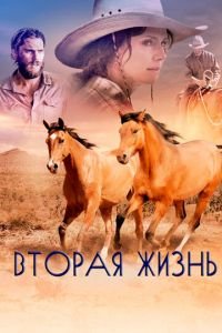   Вторая жизнь (2017)